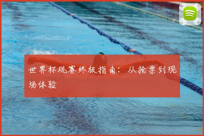 世界杯观赛终极指南：从抢票到现场体验