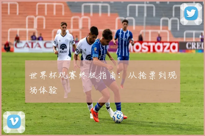 世界杯观赛终极指南：从抢票到现场体验